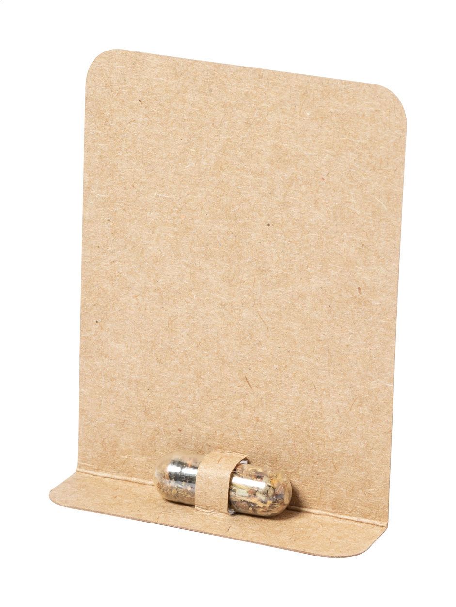 Flocca. capsulă cu semințe de flori sălbatice