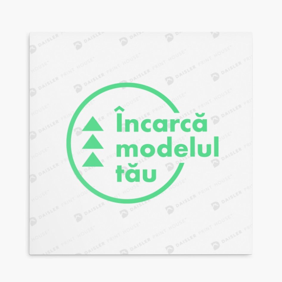 Tablou canvas (custom)