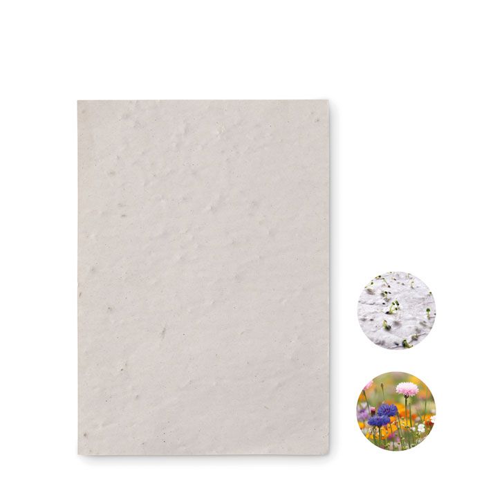 ASIDO. Foglio A6 in carta con semi