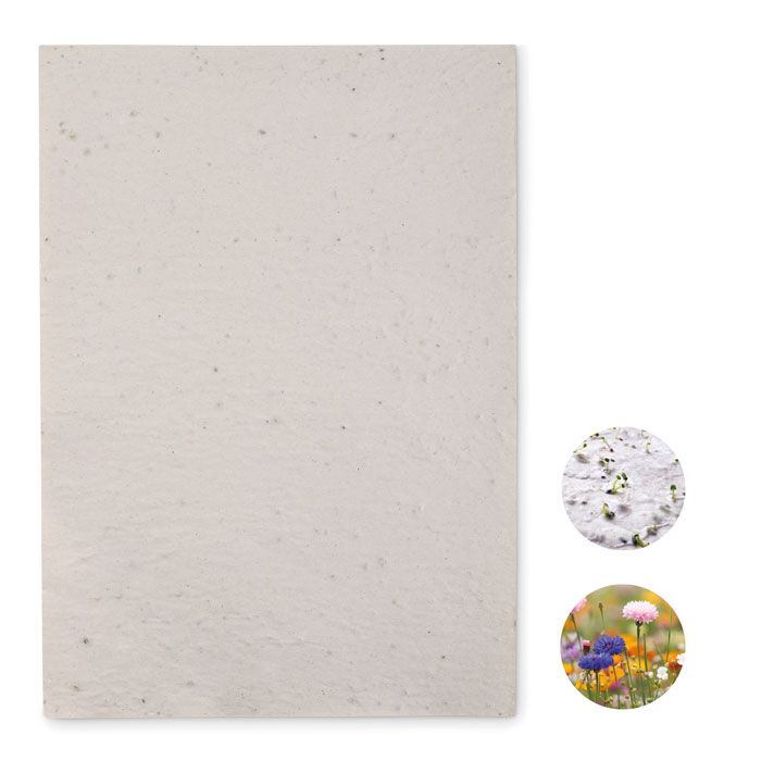 ASIDI. Foglio A4 in carta con semi