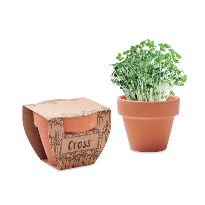 CRESS POT. Semi di crescione in vaso