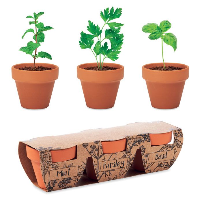 FLOWERPOT. Set di erbe in terracotta
