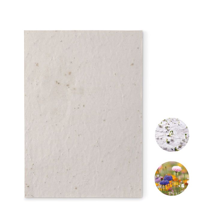 ASIDE. Foglio A5 in carta con semi