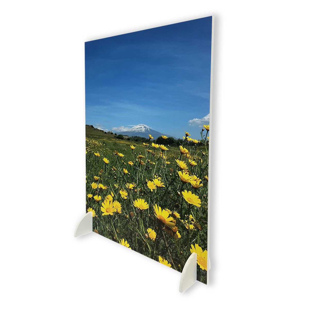 Pannelli Autoportanti