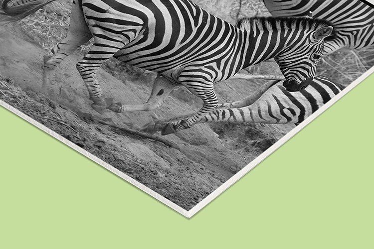 Stampa su Forex 3 mm