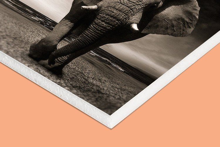 Stampa su Sandwich da 10 mm