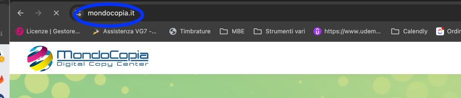 Stampa tesi di laurea in seta