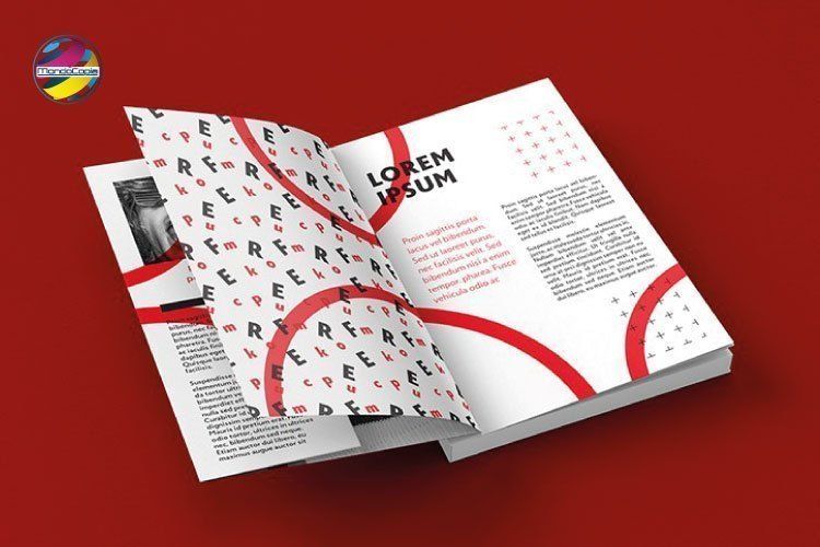 Rilegatura brossura fresata con Copertina con alette grandi tirature