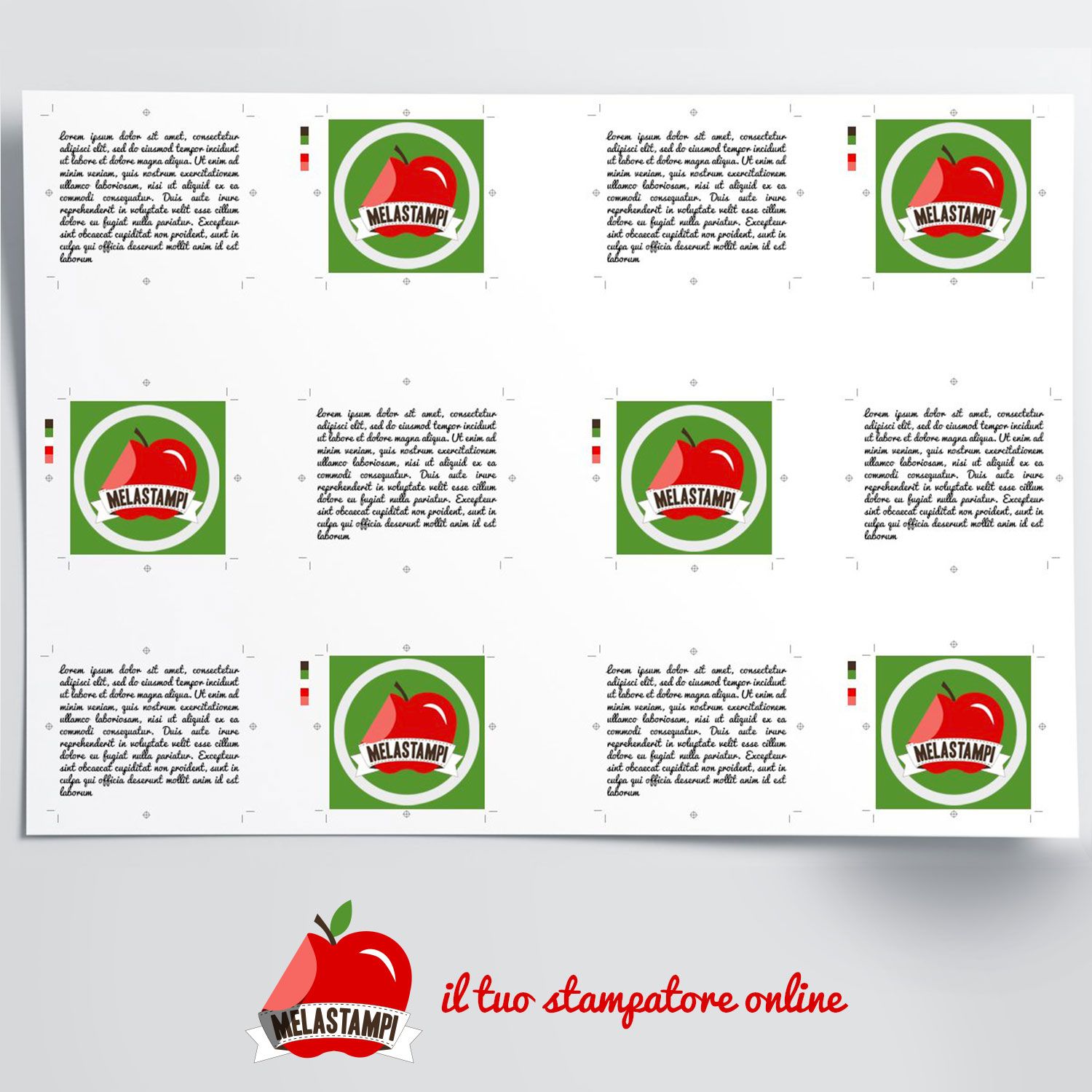 Foglio macchina offset fino al 70 x 100