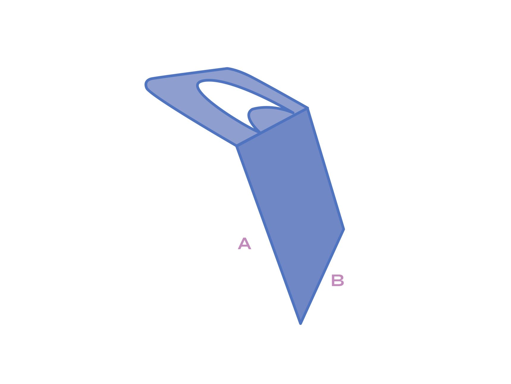 Shaped bottle neck label