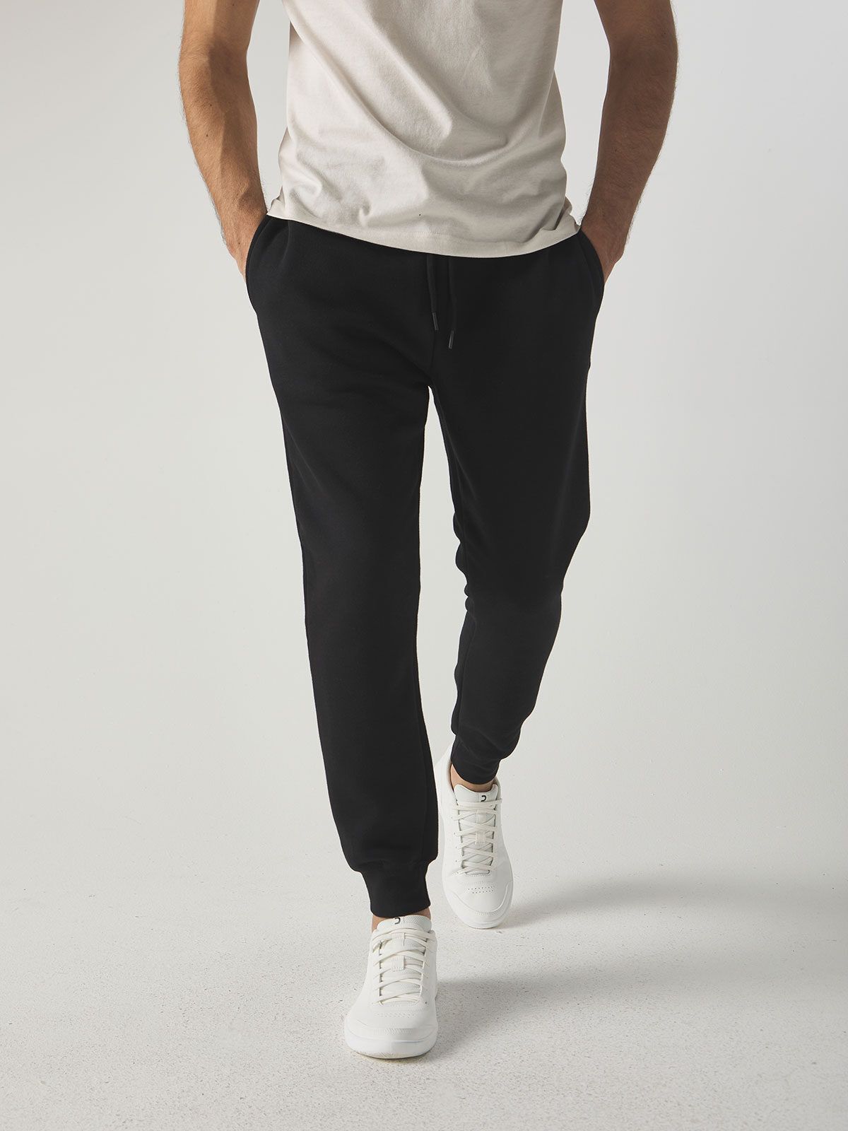 Astra - Black Spider