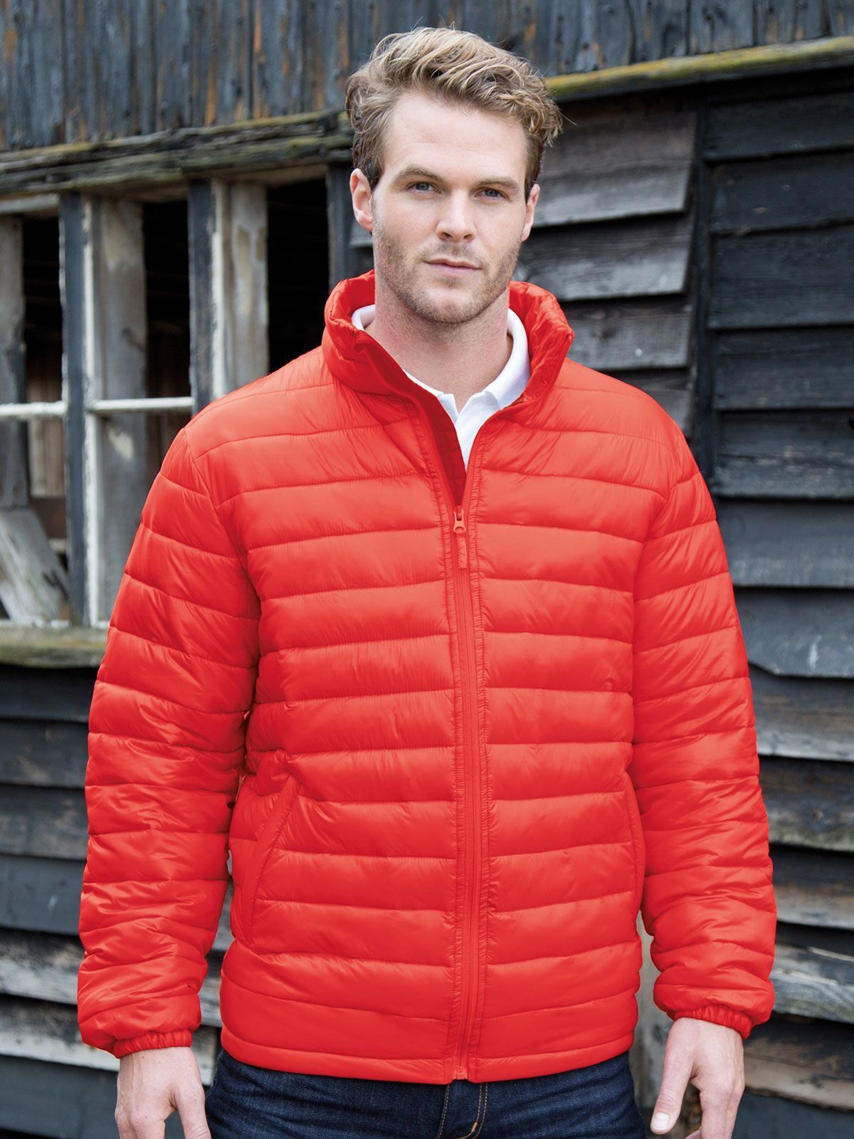 Mens Ice Bird Padded Jacket - Result