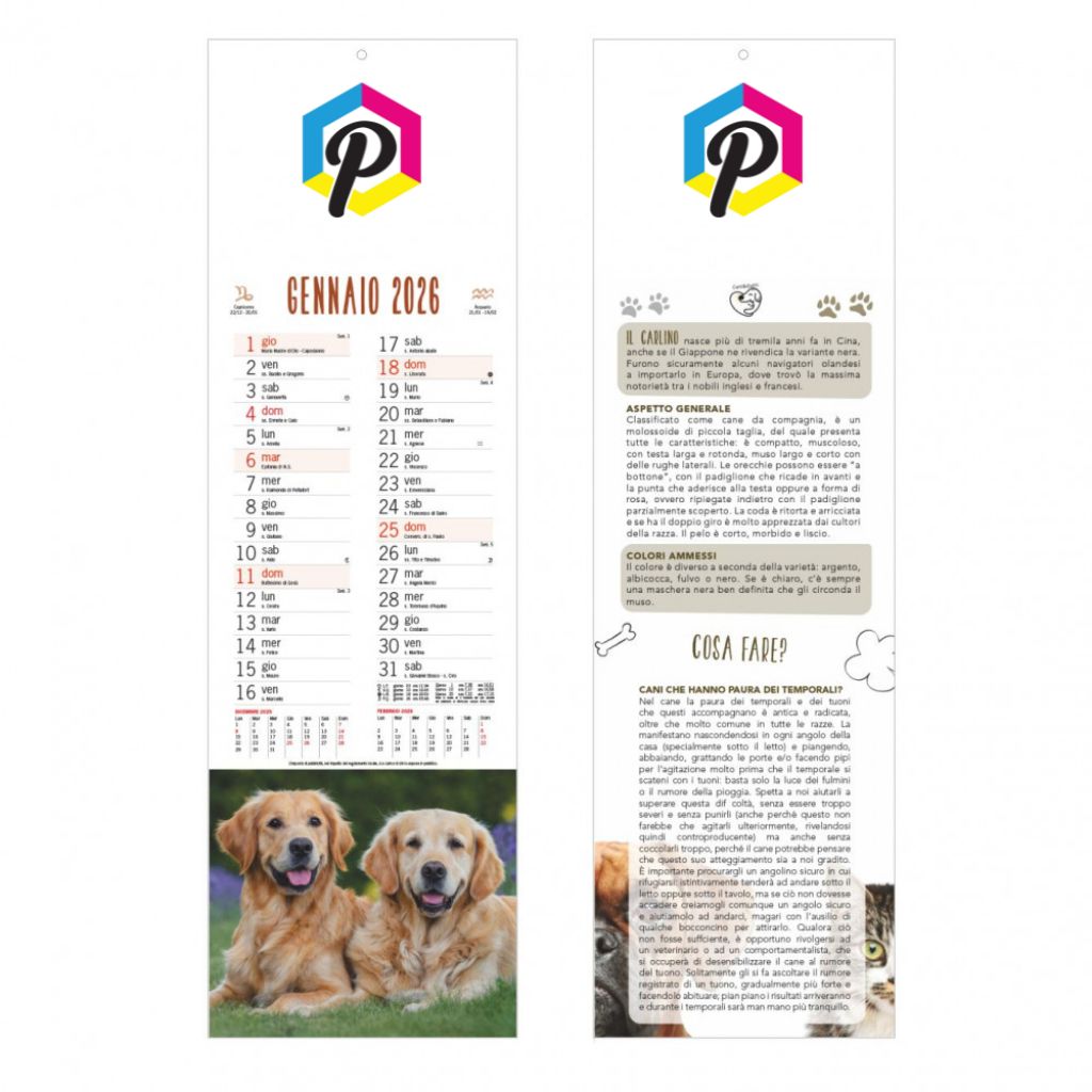 CALENDARIO SLIM CANI & GATTI