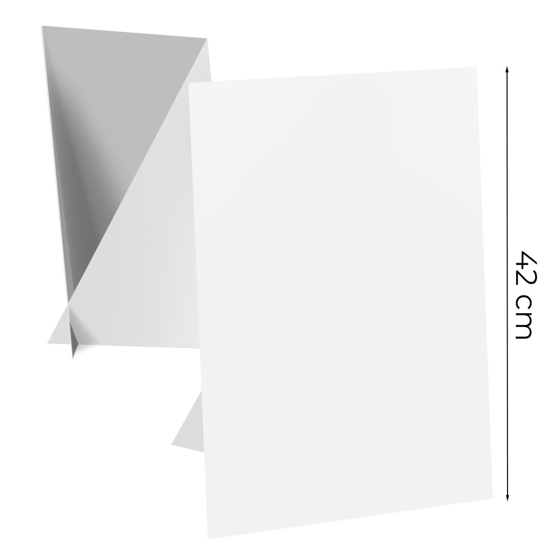 Cartello vetrina in cartone Plane A3 30x42 cm