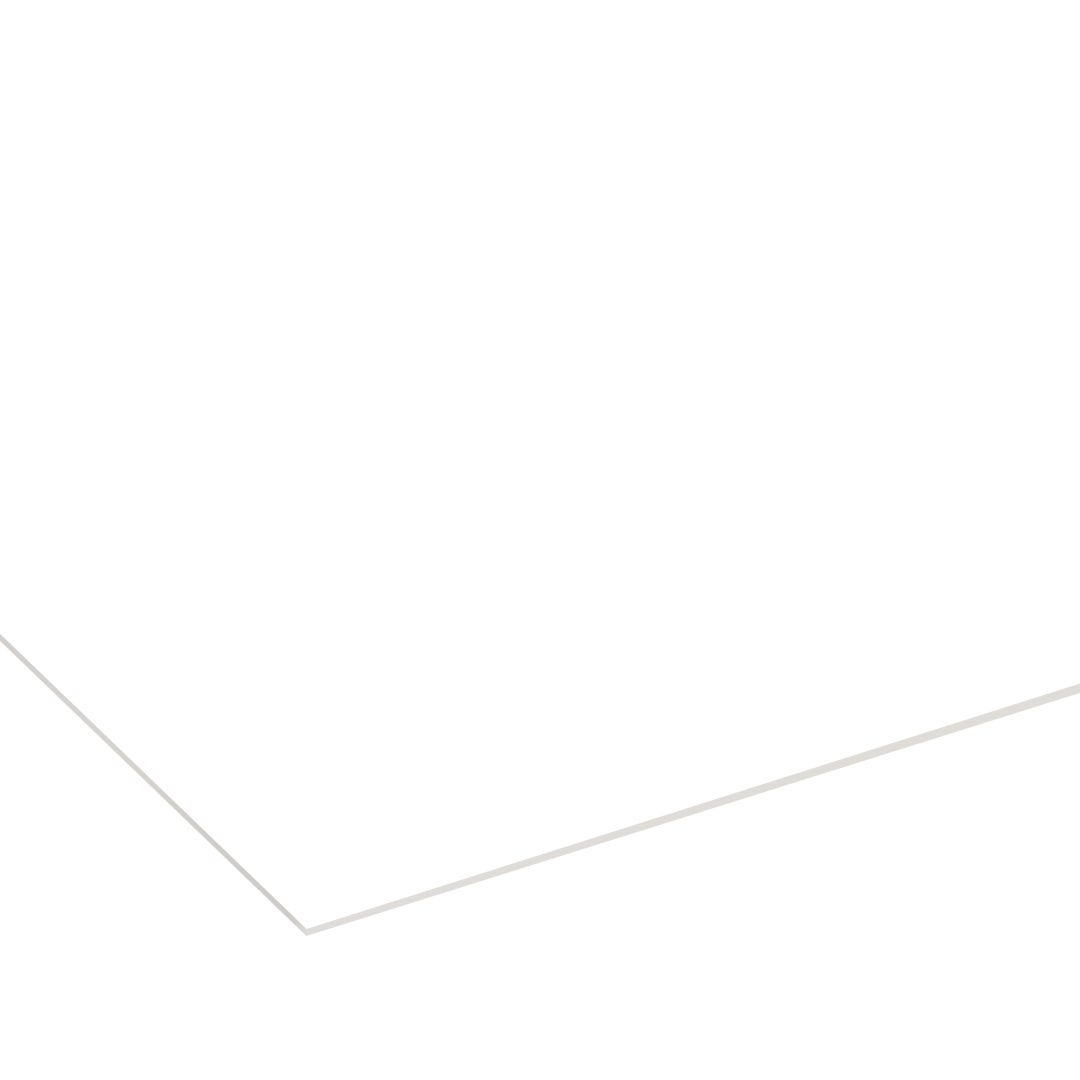 Cartone monopatinato 400 g