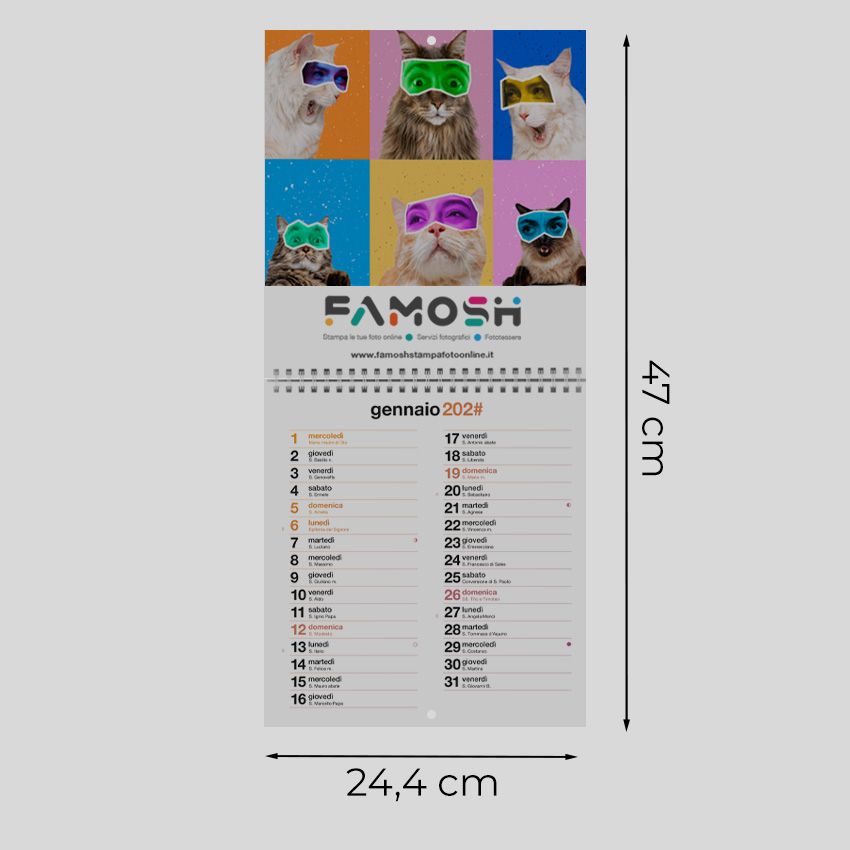 Calendario da parete 21,4x47 - 13 fogli (26 facciate)