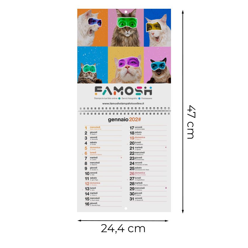 Calendario da parete 21,4x47 - 13 fogli (26 facciate)
