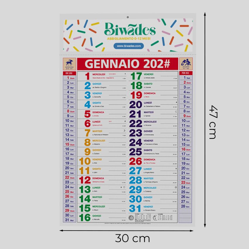 Calendario olandese da parete 30x47 - 12 fogli