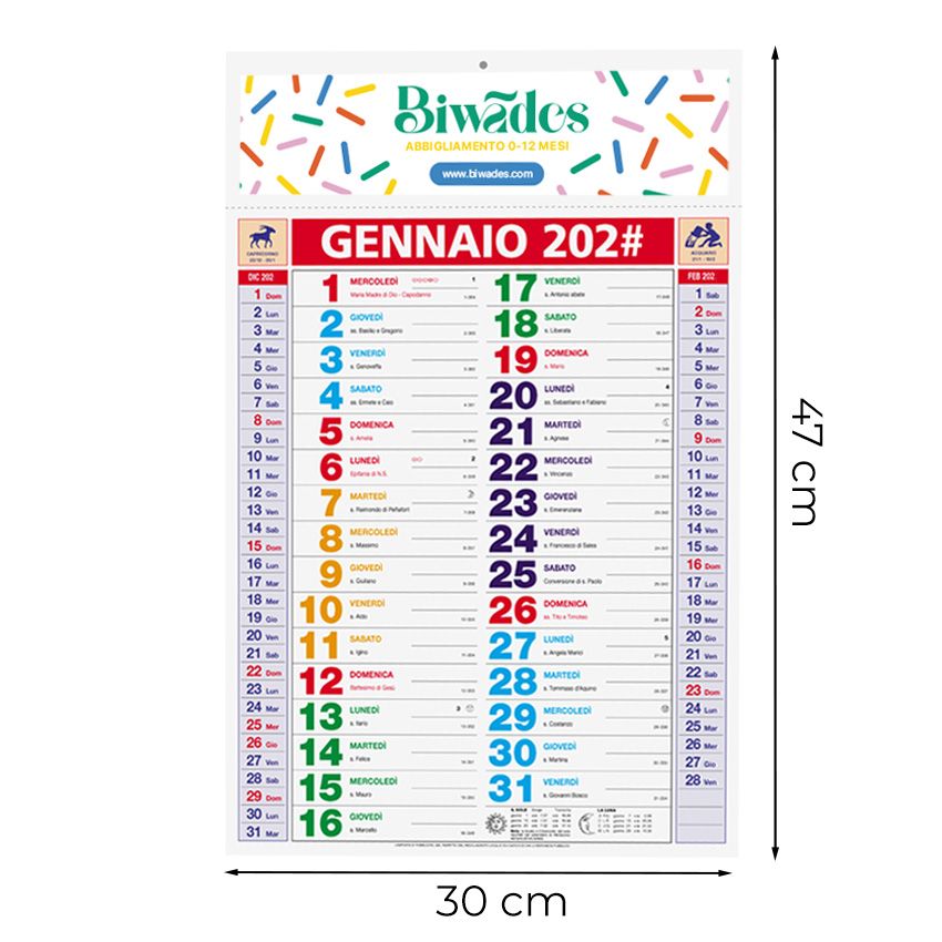 Calendario olandese da parete 30x47 - 12 fogli