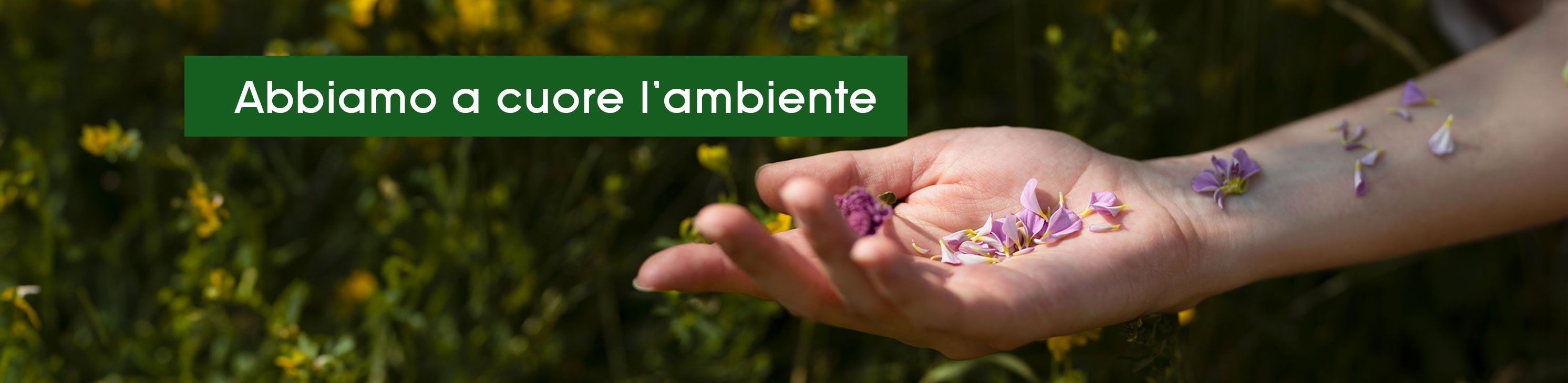 Slide 1 Abbiamo A Cuorelambiente