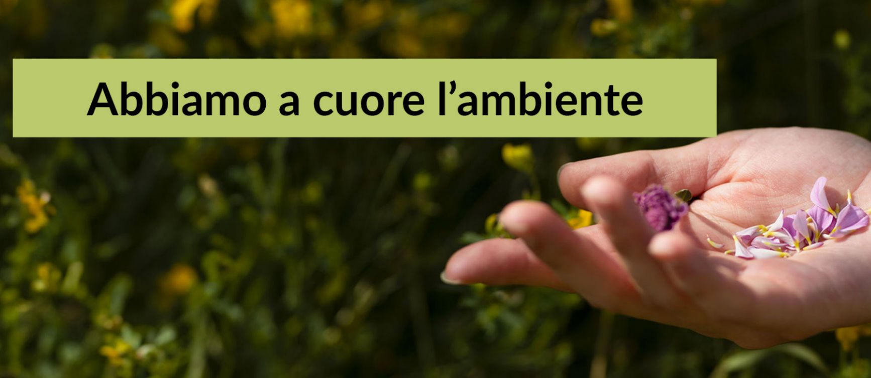 Grafica Hero Tablet 1