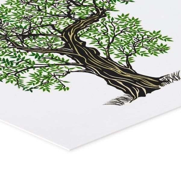 Stampa su cartone compatto 550 gr.