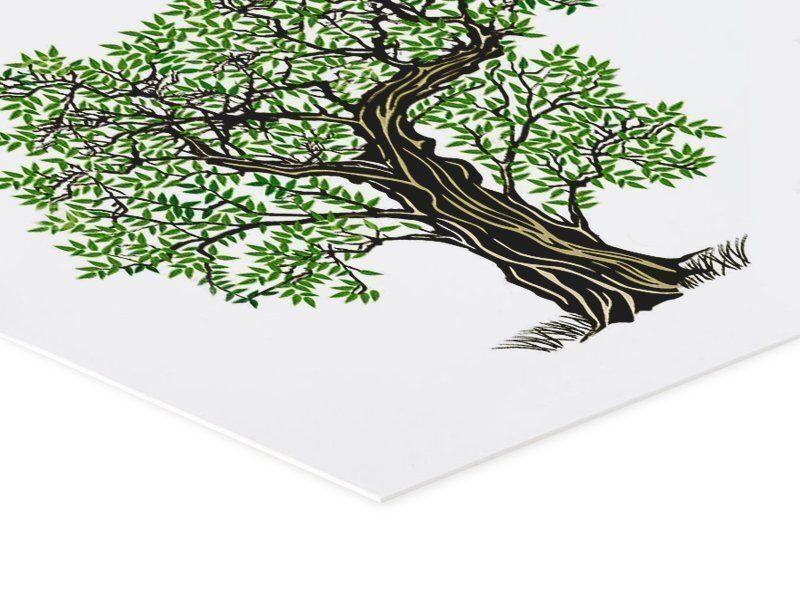 Stampa su Cartone compatto 550 gr.